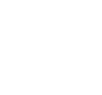 Tapetes Higienicos